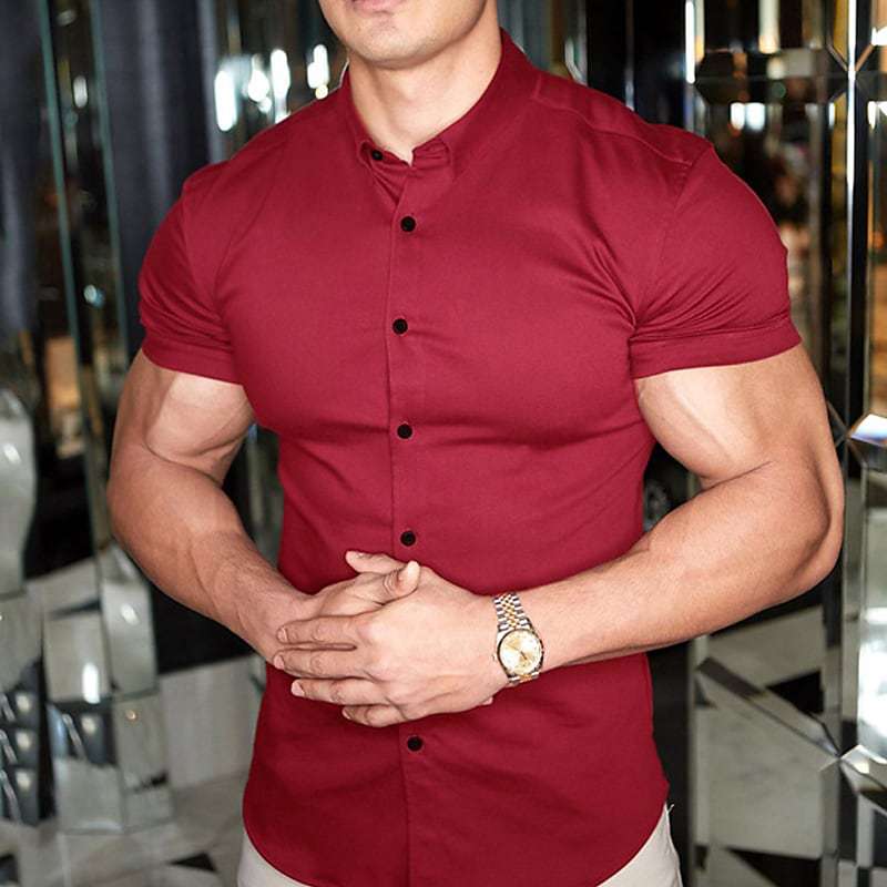 Men's Slim Fit Short Sleeve Shirt Casual Collared Everyday Wear